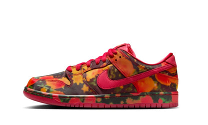 Nike SB Dunk Low The Wizard of Oz Poppy Field